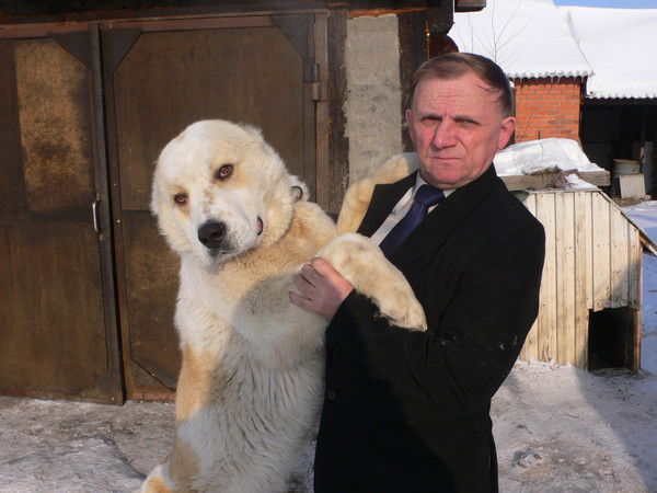 Александр Купера