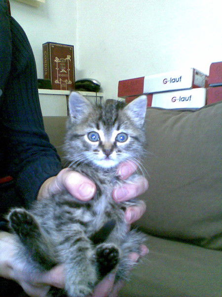 Любовь Аверина