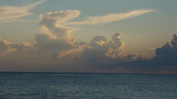 Сергей Частков