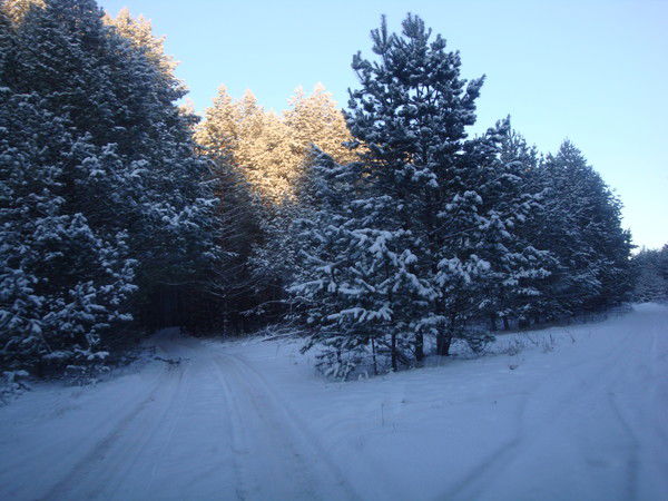 Валентина Баканова