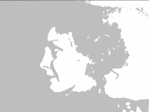 Ирина Дроботько