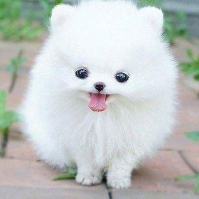 Наталия Ипатова