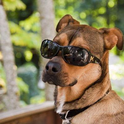 Богдан Гонтковский