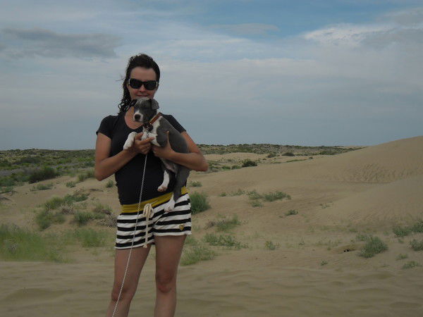 Елена Ромахина