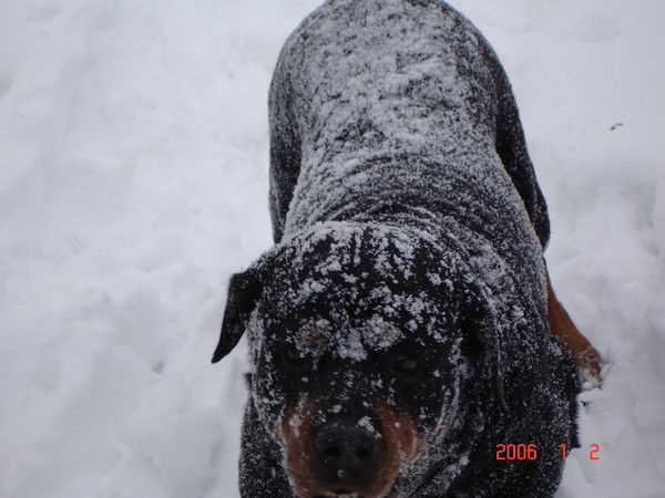 Дмитрий Платунов