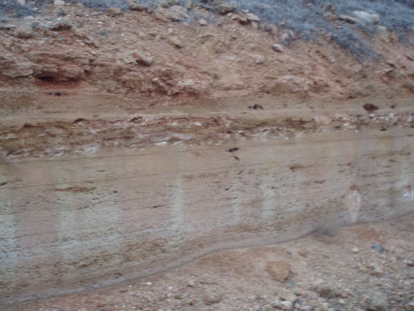 Олег Лимнев