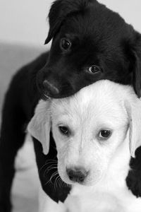 Юлия Хаустова