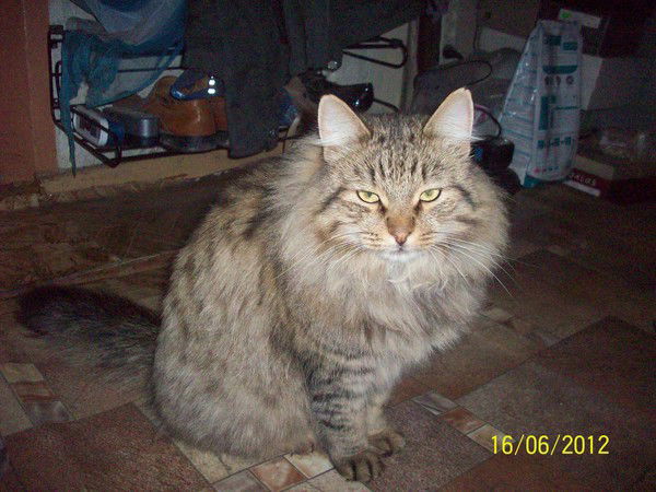 Анастасия Воробьева