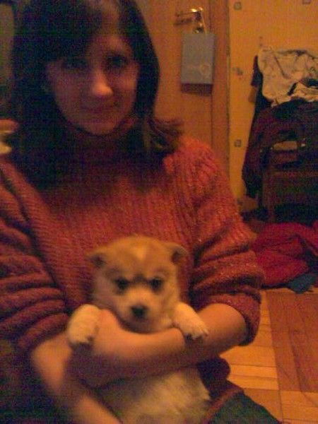 ??????????????? ???????????????????????