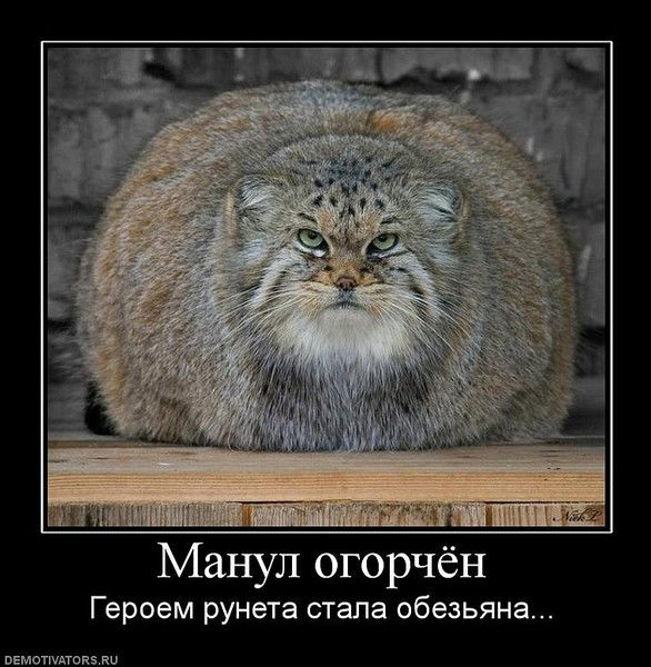 Громов Игорь