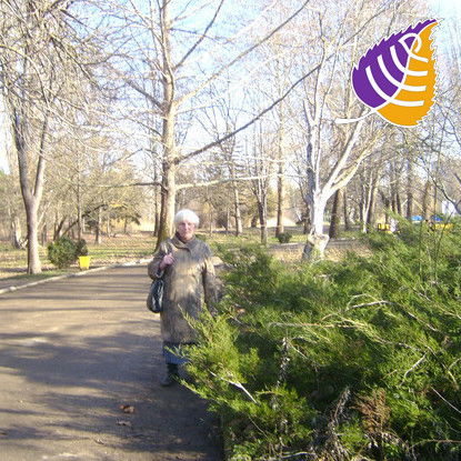 Людмила Шевченко