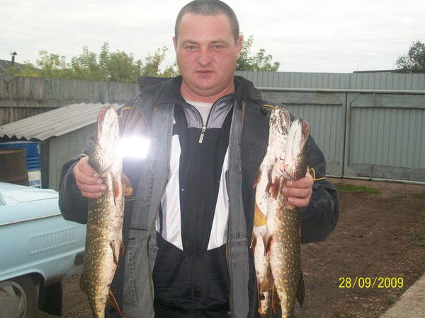 Александр Банников