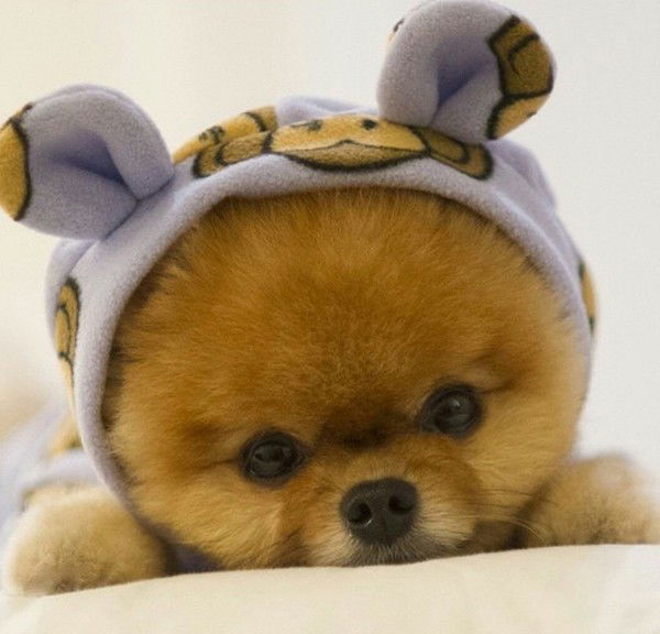 Светлана *****