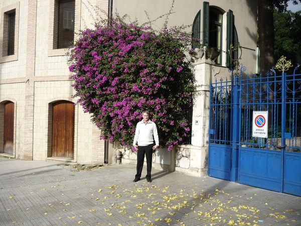 Михаил Горев