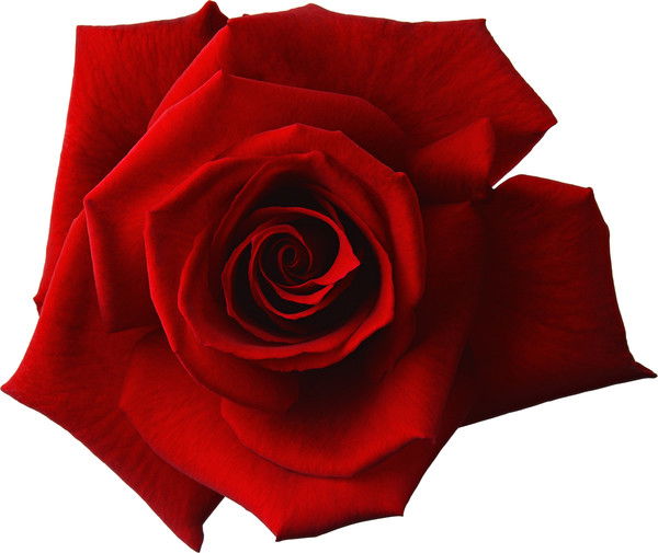 Галина Дунаева