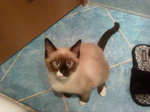 Татьяна Васильева