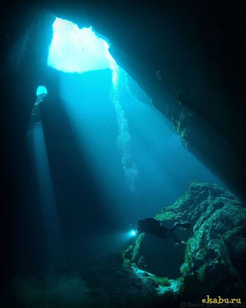 Вячеслав Вшивков