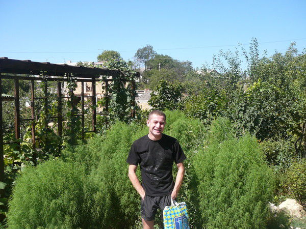 Александр Люцин