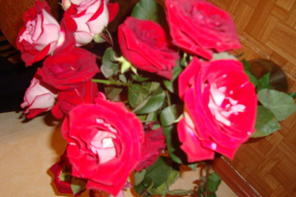 Лилия Якушева