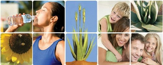 Жанна Алое Вера