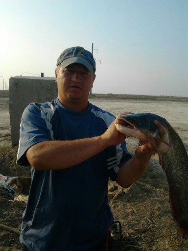 Кирилл Ракитин