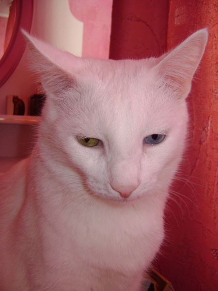 Татьяна Кокарева