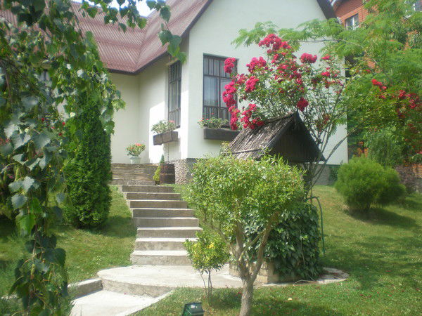 Владимир Вельгоша