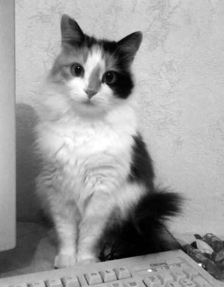 Тамара Седлицкая