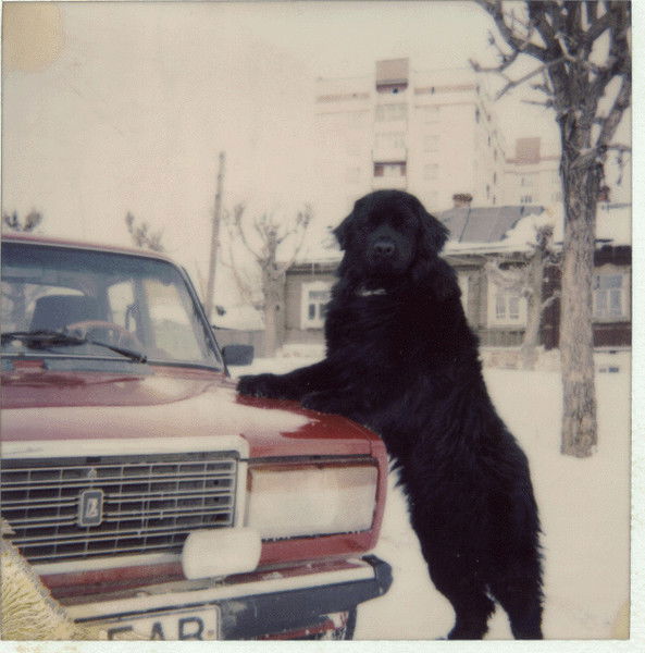 Равиль Сахибзадаев