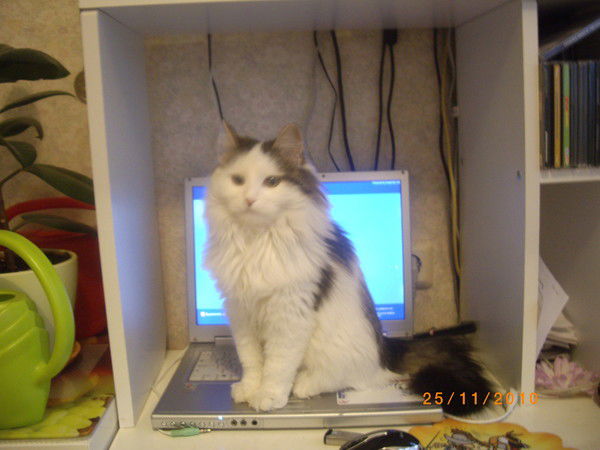 Арина Фролова