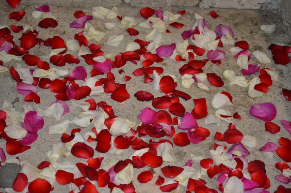 Ирина Бабаева