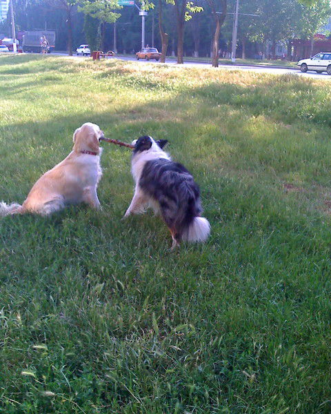 Лиля Ефремова