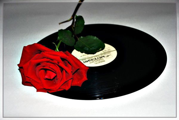 Дмитрий Сиразиев