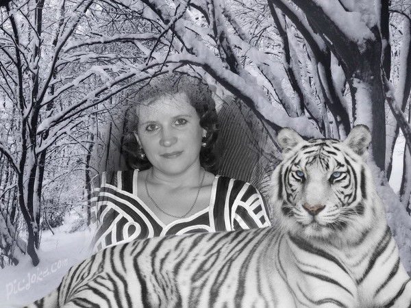 Елена Казанцева