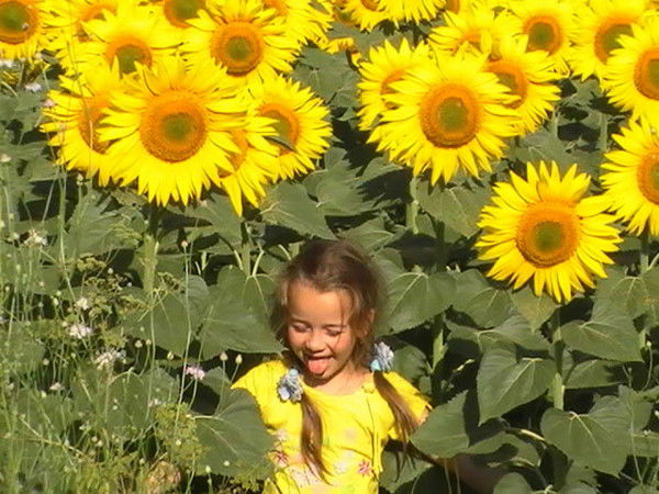 Андрей Харитонов