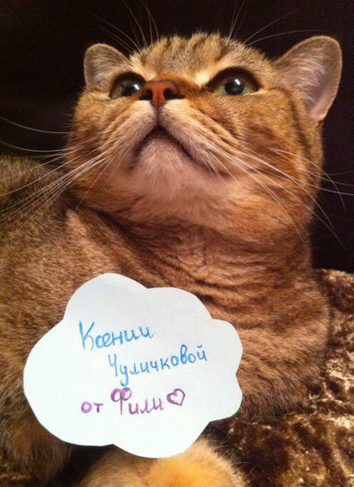 Ксения Чуличкова