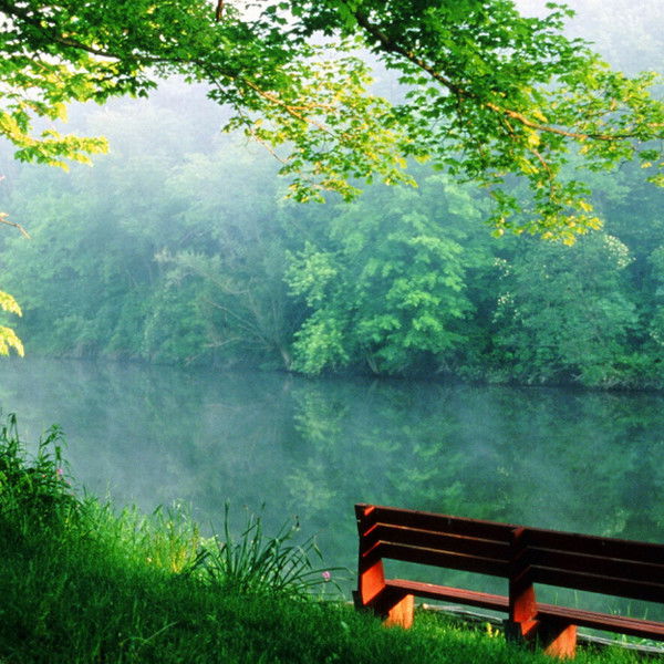 Татьяна Тимофеева