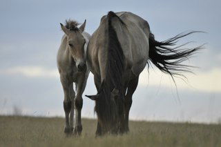 Файруза Муртазина