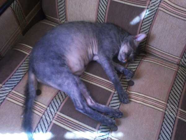 Борис Затуловский