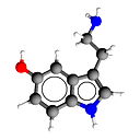 Виктор Соколов