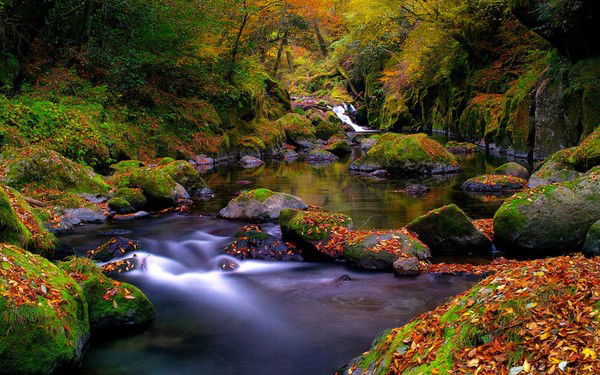 ‪‬ ‪ ‪‬ ‪‬‬ ‪‬ ‪‬ ‪ ‪‬ ‪‬‬ ‪‬