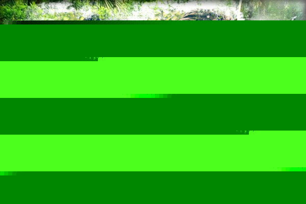 Любаша Кулакиди