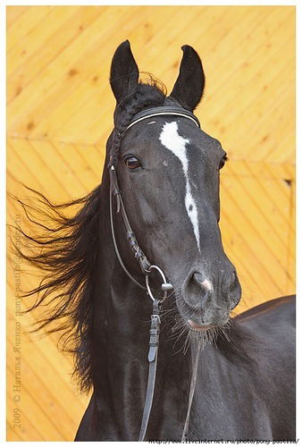 Любовь Смирнова