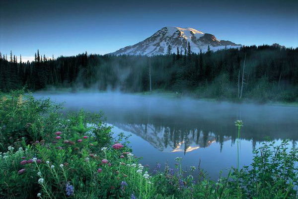 Фарид Фарид