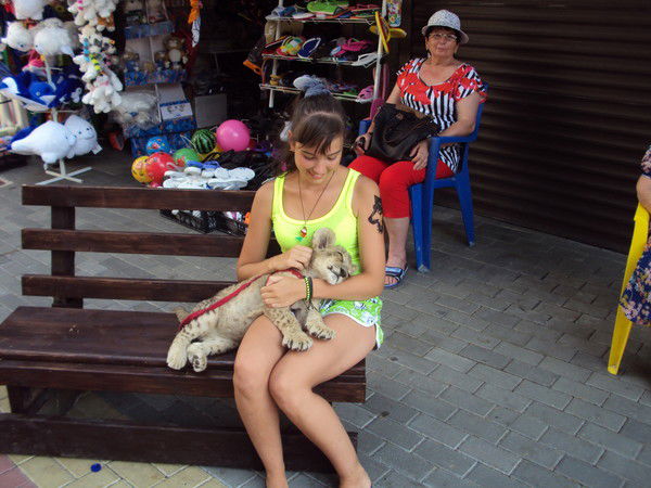 Наташа Абрамова