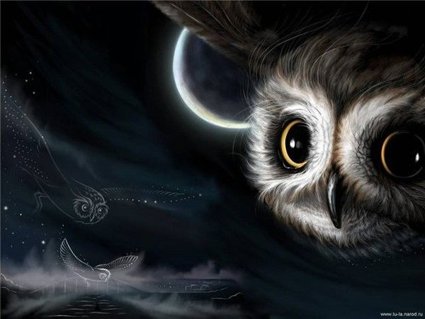 София22 Cтадничук