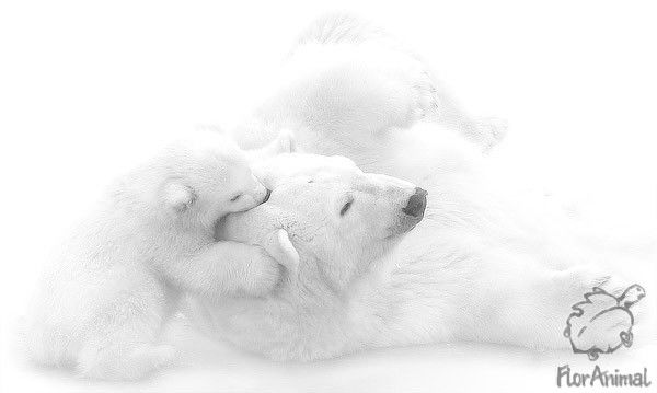 Елена Глушко