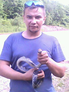 Андрей Жуковский