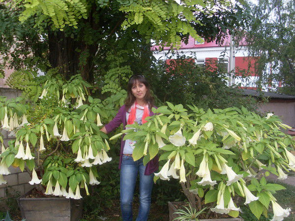 Нина Мошулупа