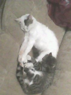 Виктория Натфулина(Данченко)